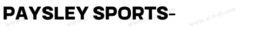 paysley sports字体转换